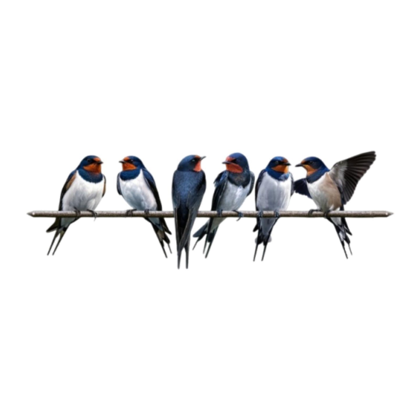 š¦Metal Birds on Branch Wall Decor Sculpture for Home, Indoor Patio