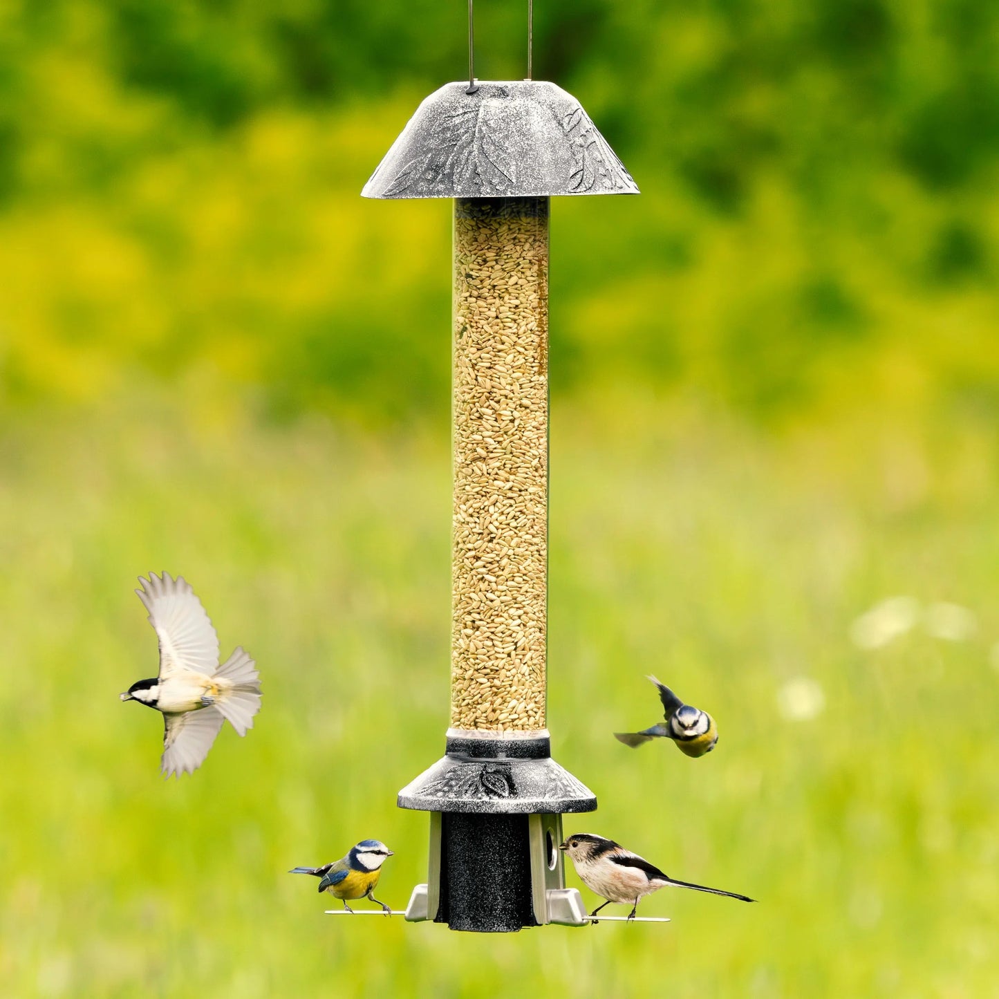 🐦Squirrel-Proof Bird Feeder 2.0 – Antique Platinum Finish