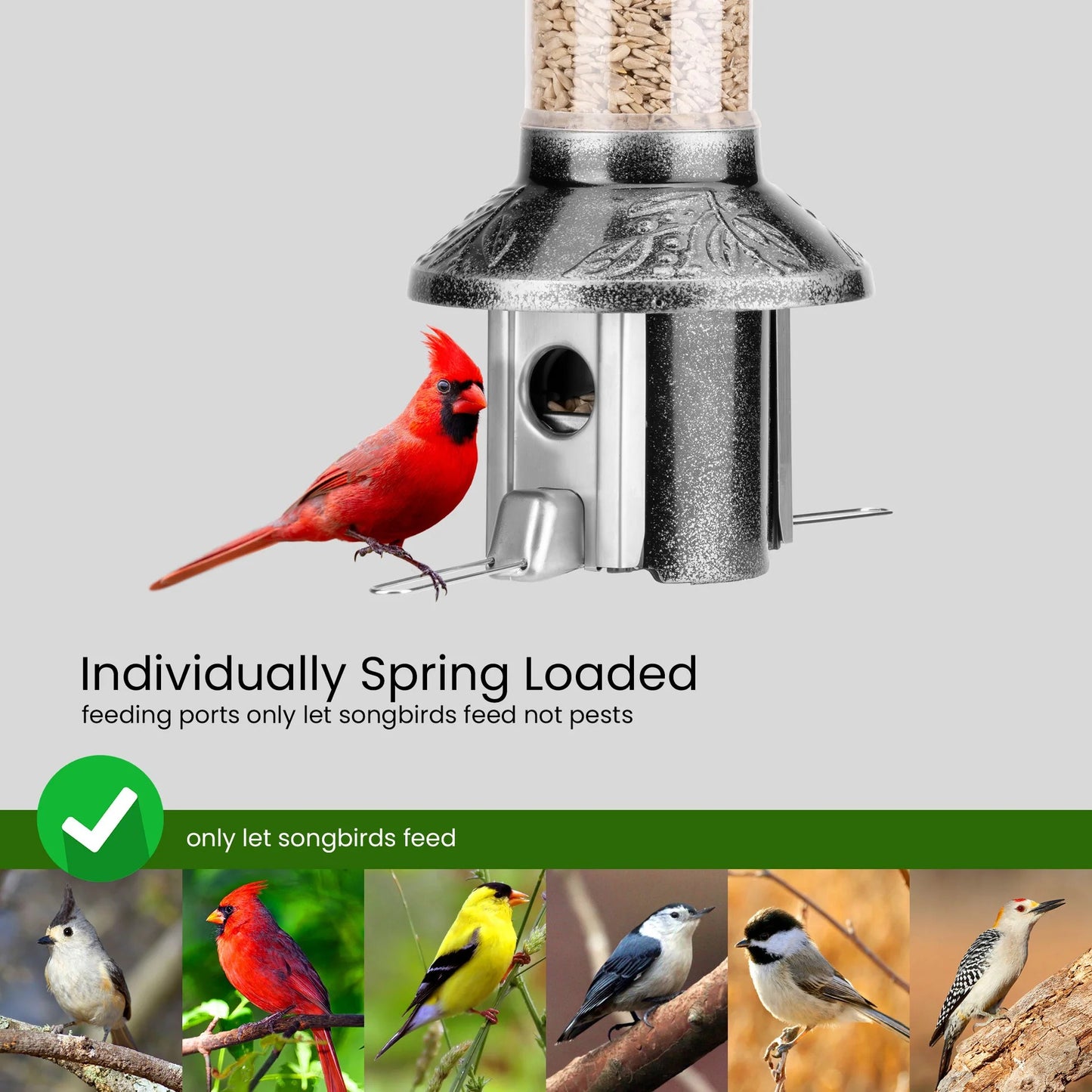 🐦Squirrel-Proof Bird Feeder 2.0 – Antique Platinum Finish